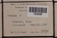 Image Associated With the Occurence